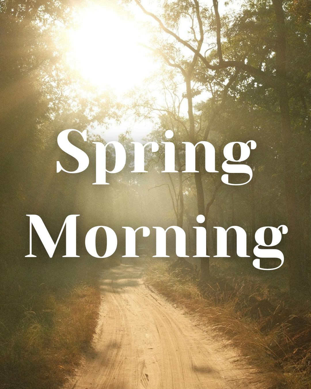 * NEW * Spring Morning Woodwick Candle