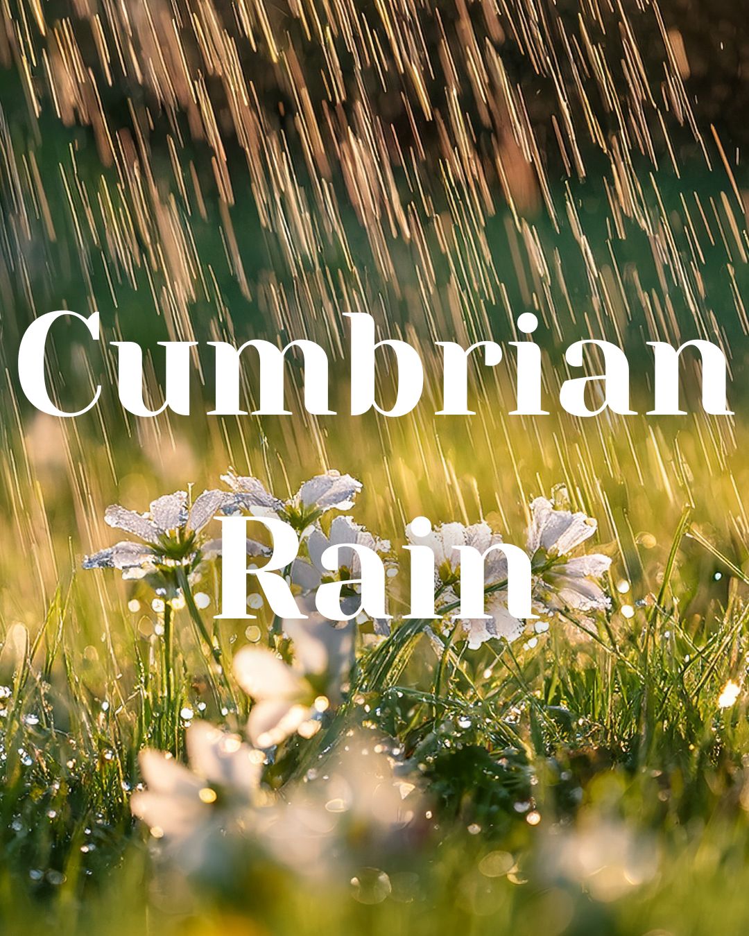 * NEW * Cumbrian Rain Woodwick Candle
