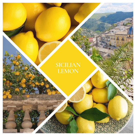 * NEW * Sicilian Lemon Reed Diffuser