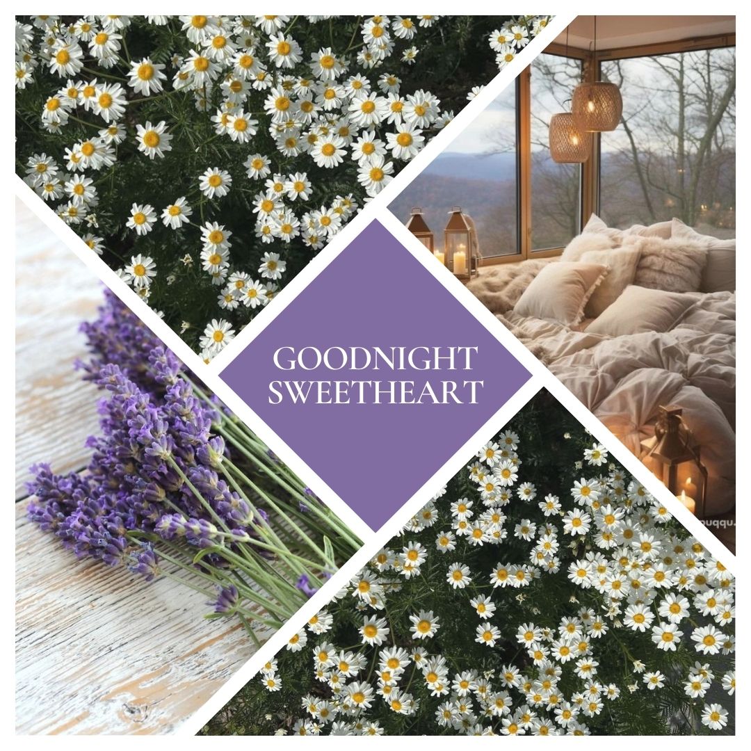 Goodnight Sweetheart Reed Diffuser