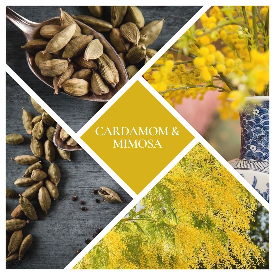 Cardamom & Mimosa Woodwick Candle
