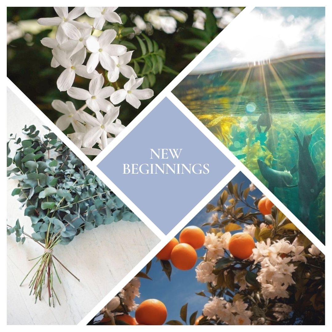 New Beginnings Reed Diffuser