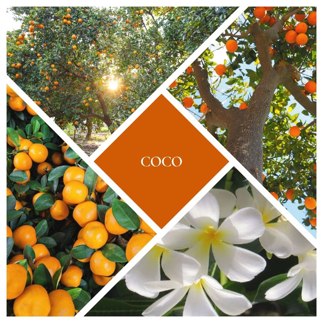 Coco Woodwick Candle
