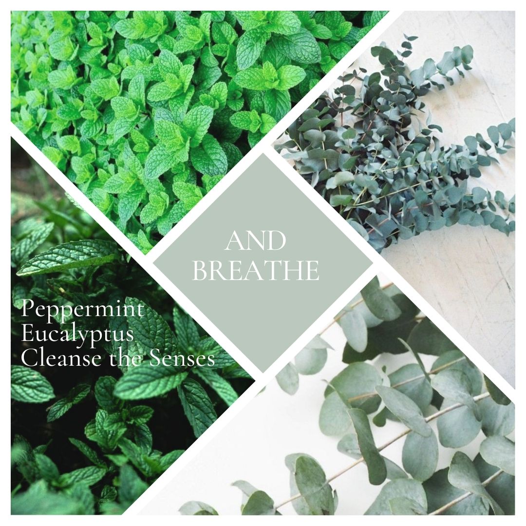 And Breathe Reed Diffuser