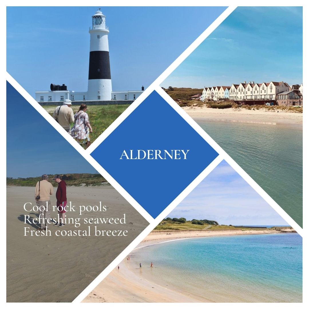 * NEW * Alderney Reed Diffuser