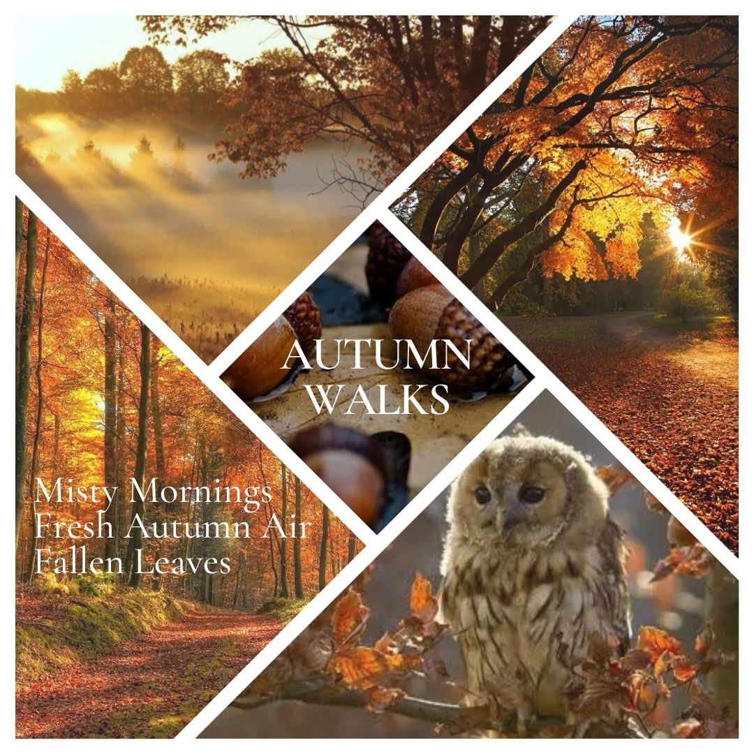 * NEW * Autumn Walk Woodwick Candle