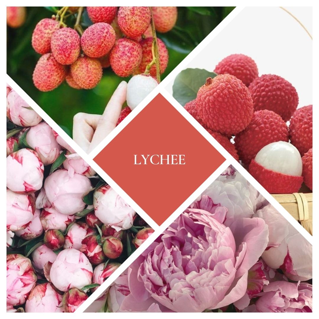 Lychee Woodwick Candle