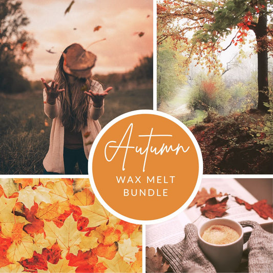 * NEW * Autumn Wax Melt Bundle