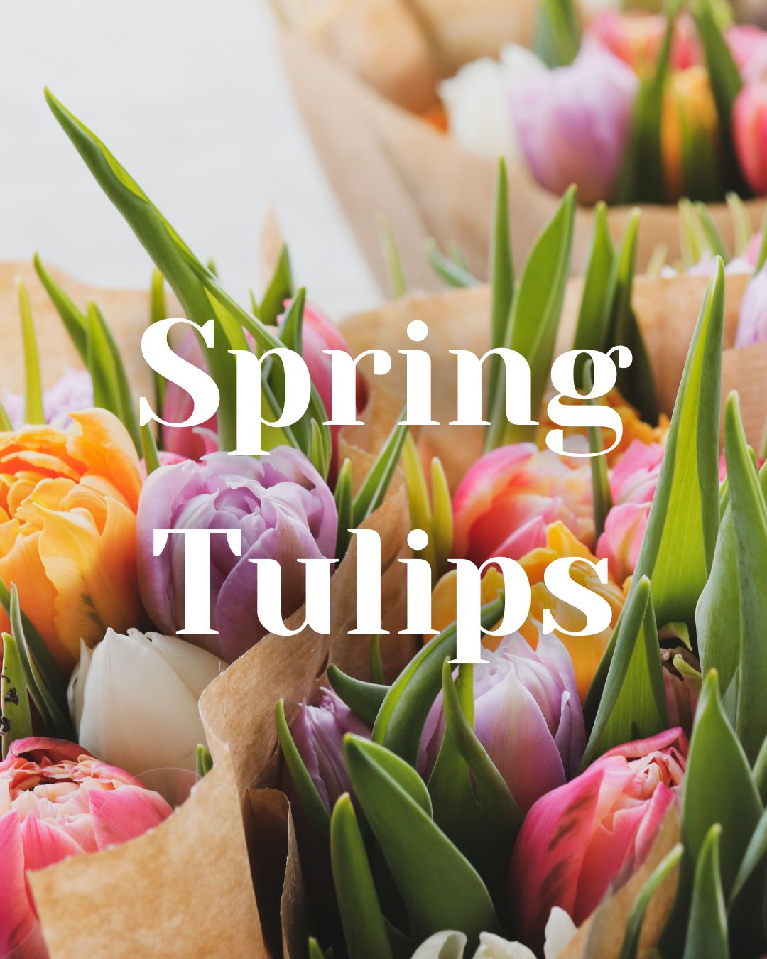 * NEW * Spring Tulips Woodwick Candle