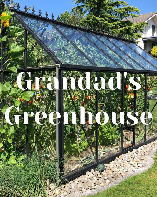 * NEW * Grandad's Greenhouse Woodwick Candle