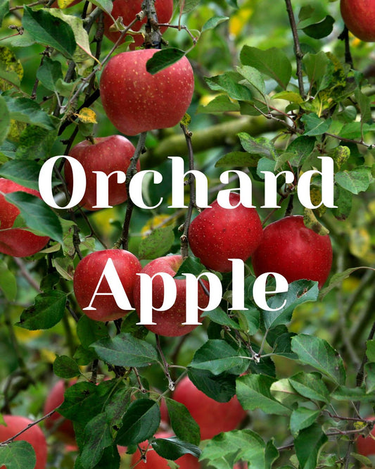 * NEW * Orchard Apple Woodwick Candle