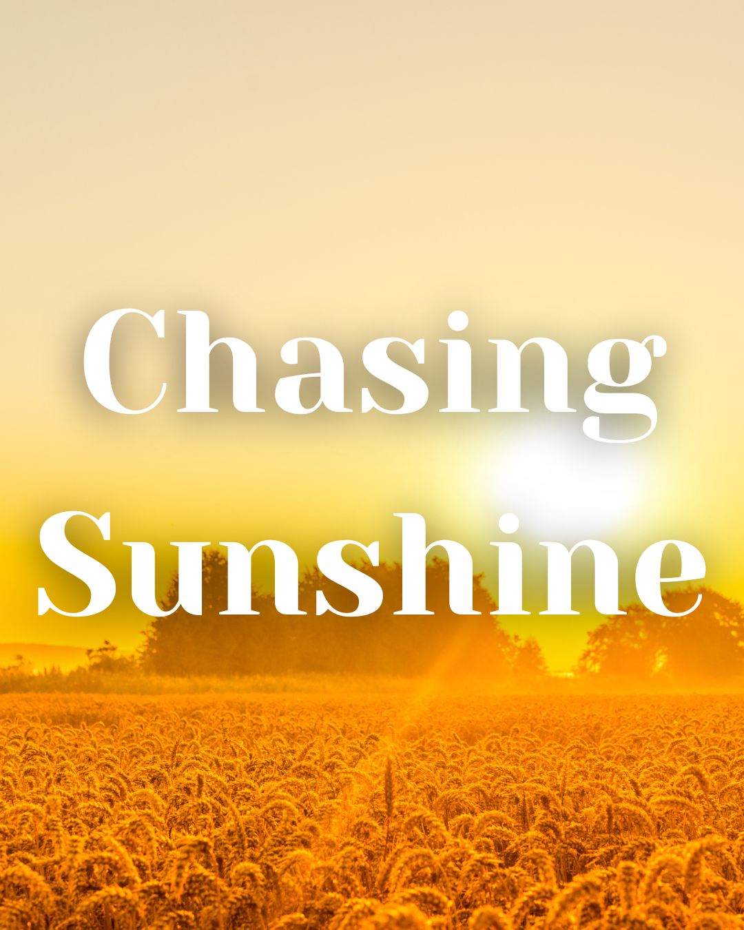 * NEW * Chasing Sunshine Woodwick Candle