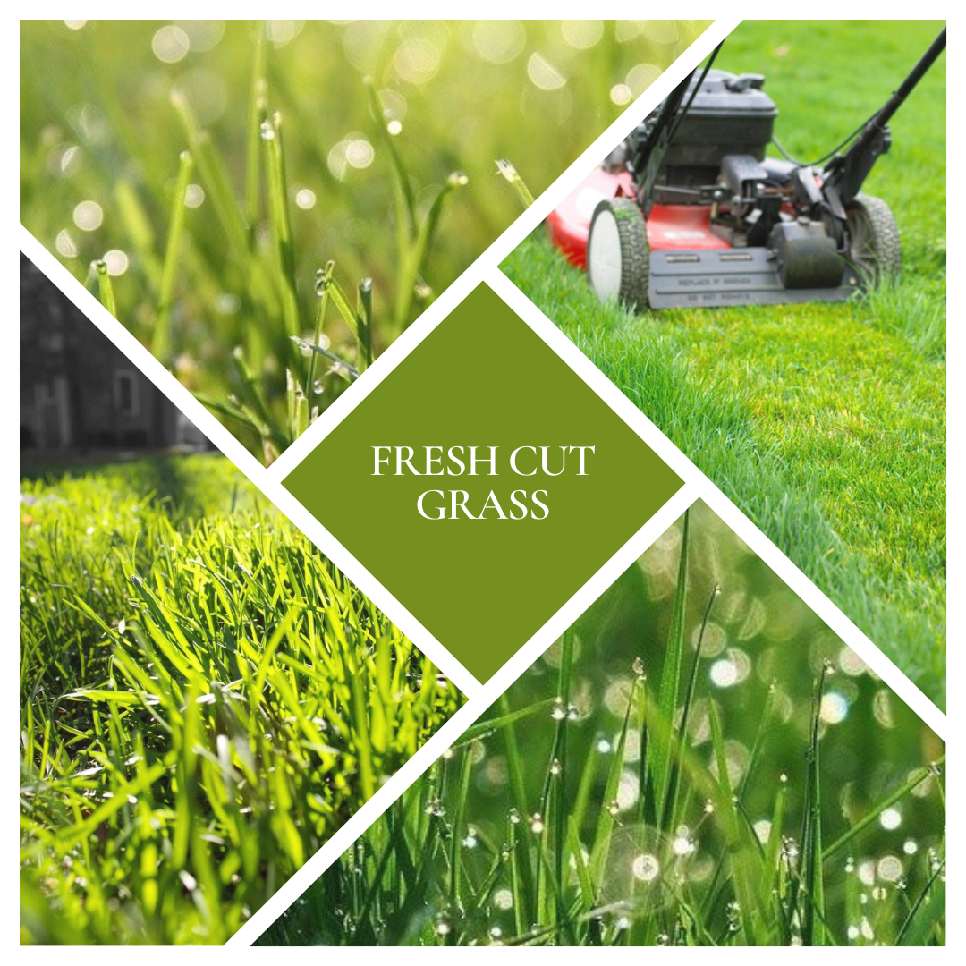 * NEW * Fresh Cut Grass Reed Diffuser