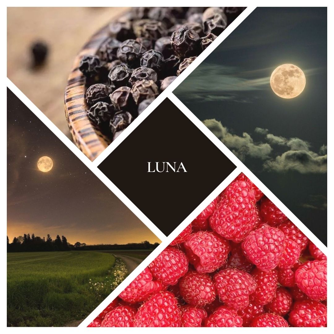 Luna Reed Diffuser