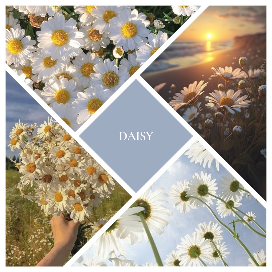 Daisy Reed Diffuser