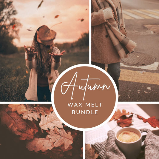 Autumn Wax Melt Bundle