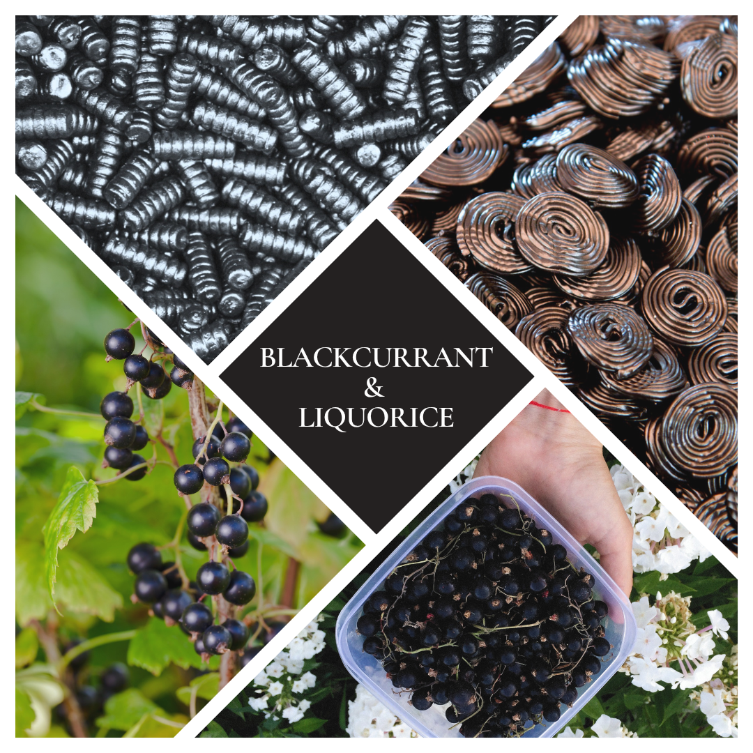 * NEW * Blackcurrant & Liquorice Reed Diffuser