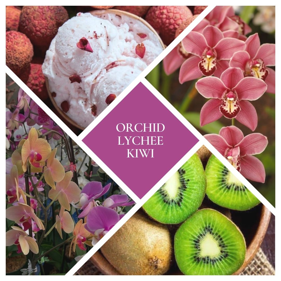 Orchid, Kiwi & Lychee Reed Diffuser