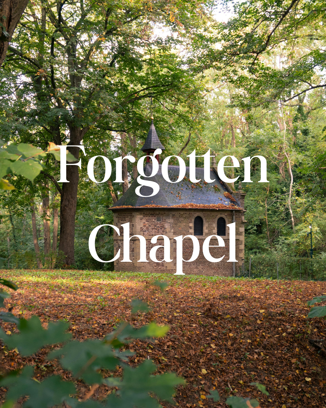 * NEW * The Forgotten Chapel Reed Diffuser