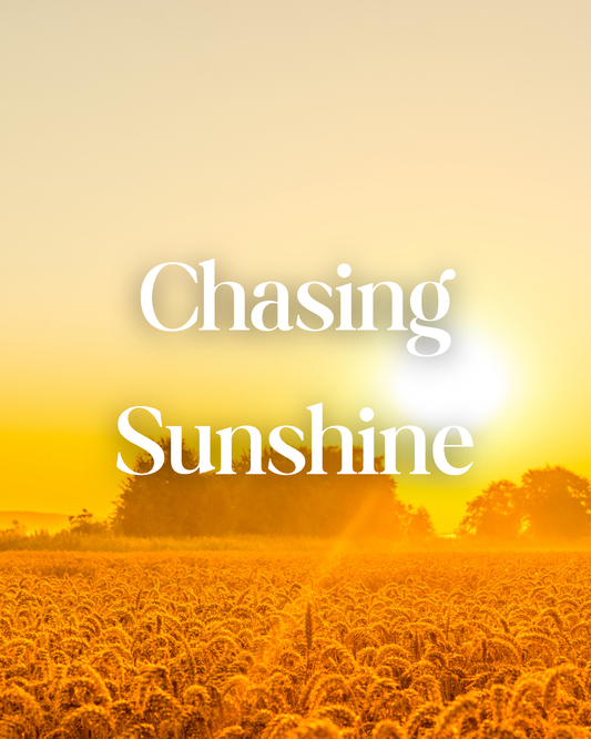 * NEW * Chasing Sunshine Woodwick Candle