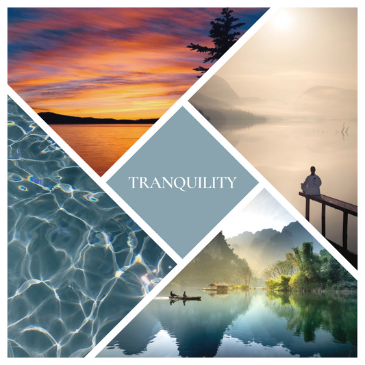 * NEW * Tranquility Reed Diffuser