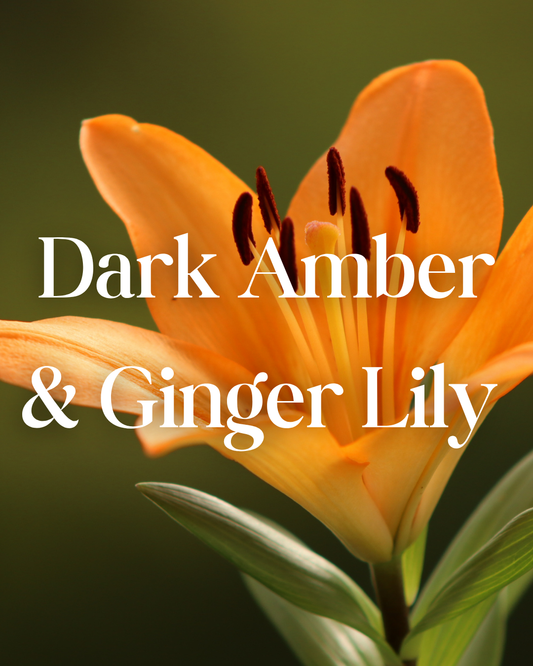 * NEW * Dark Amber & Ginger Lily Reed Diffuser