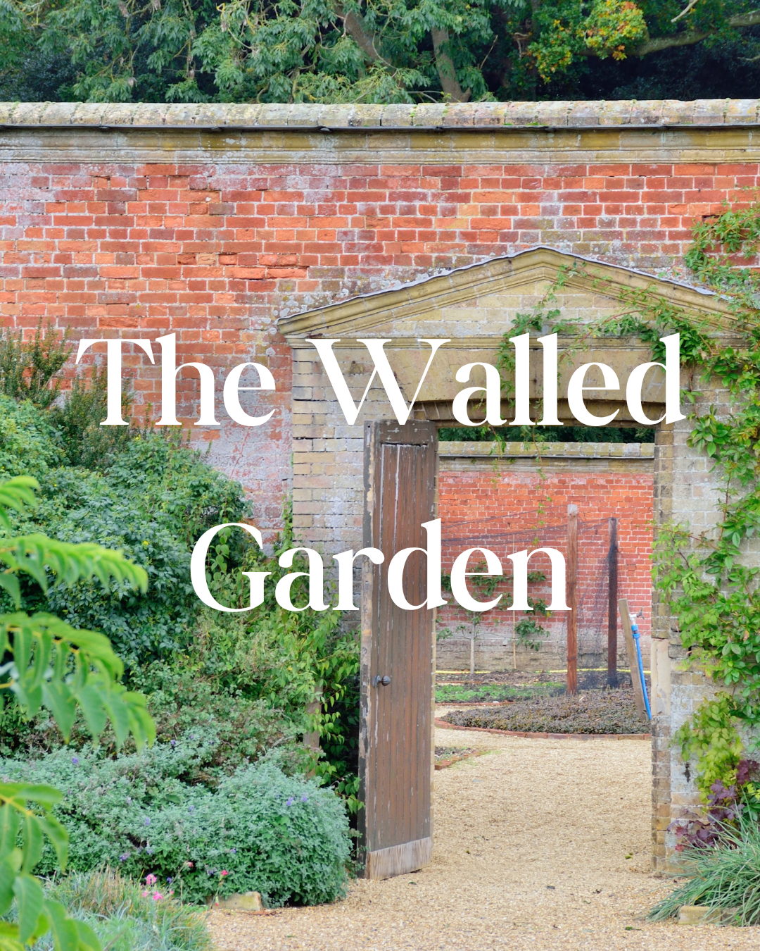 * NEW * The Walled Garden Reed Diffuser