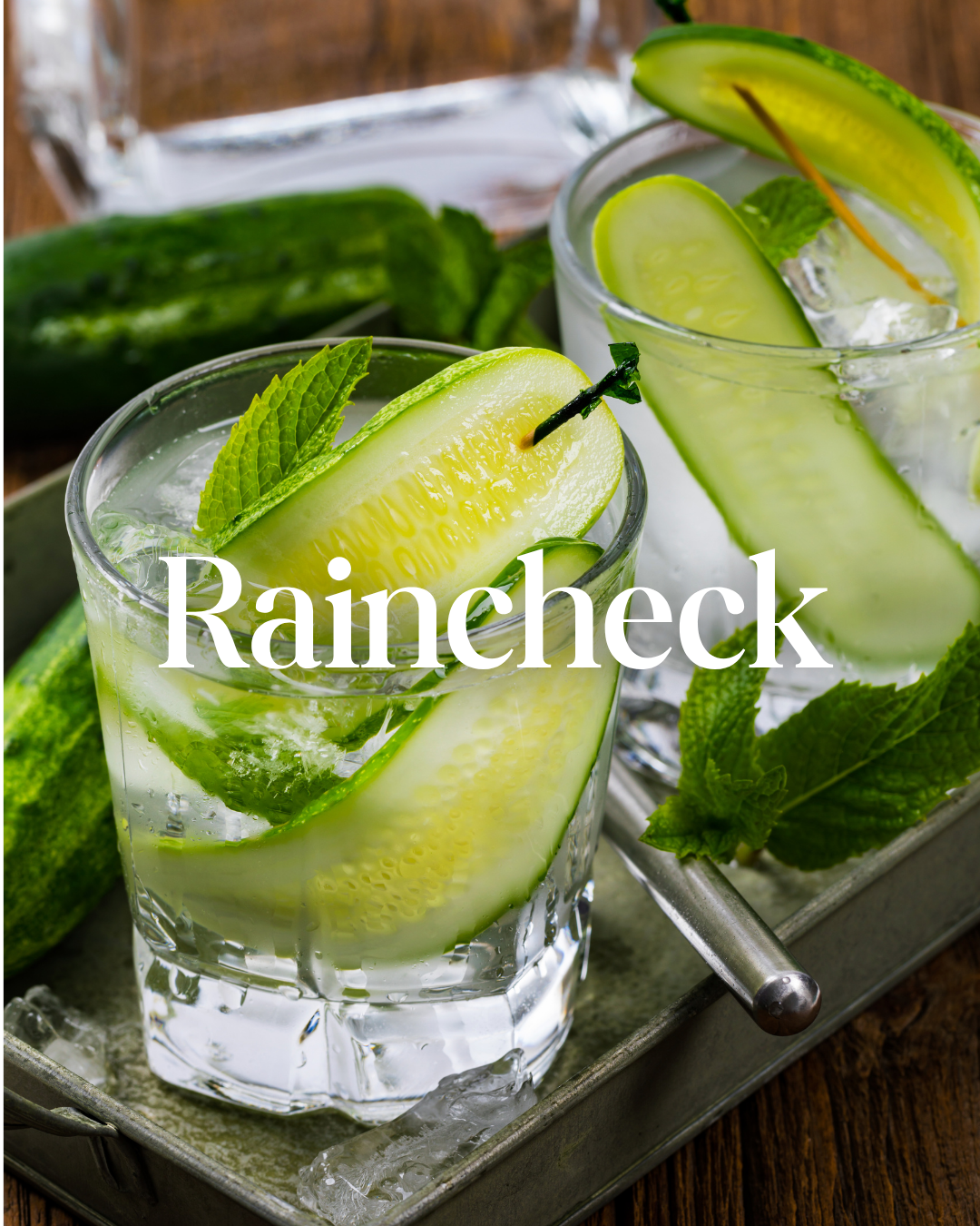 * NEW * Raincheck Reed Diffuser