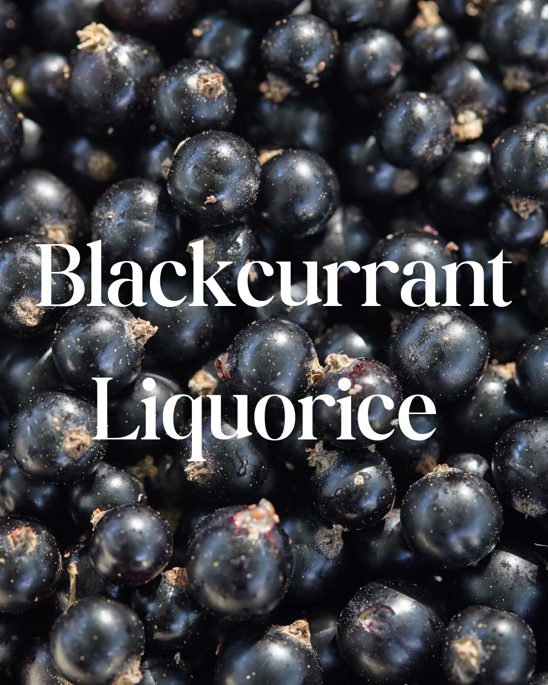 * NEW * Blackcurrant & Liquorice Reed Diffuser