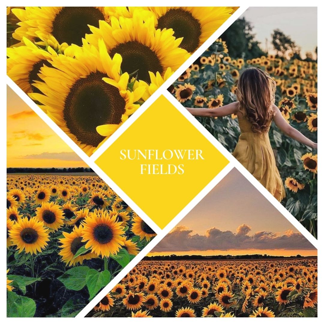 * NEW * Sunflower Fields Reed Diffuser