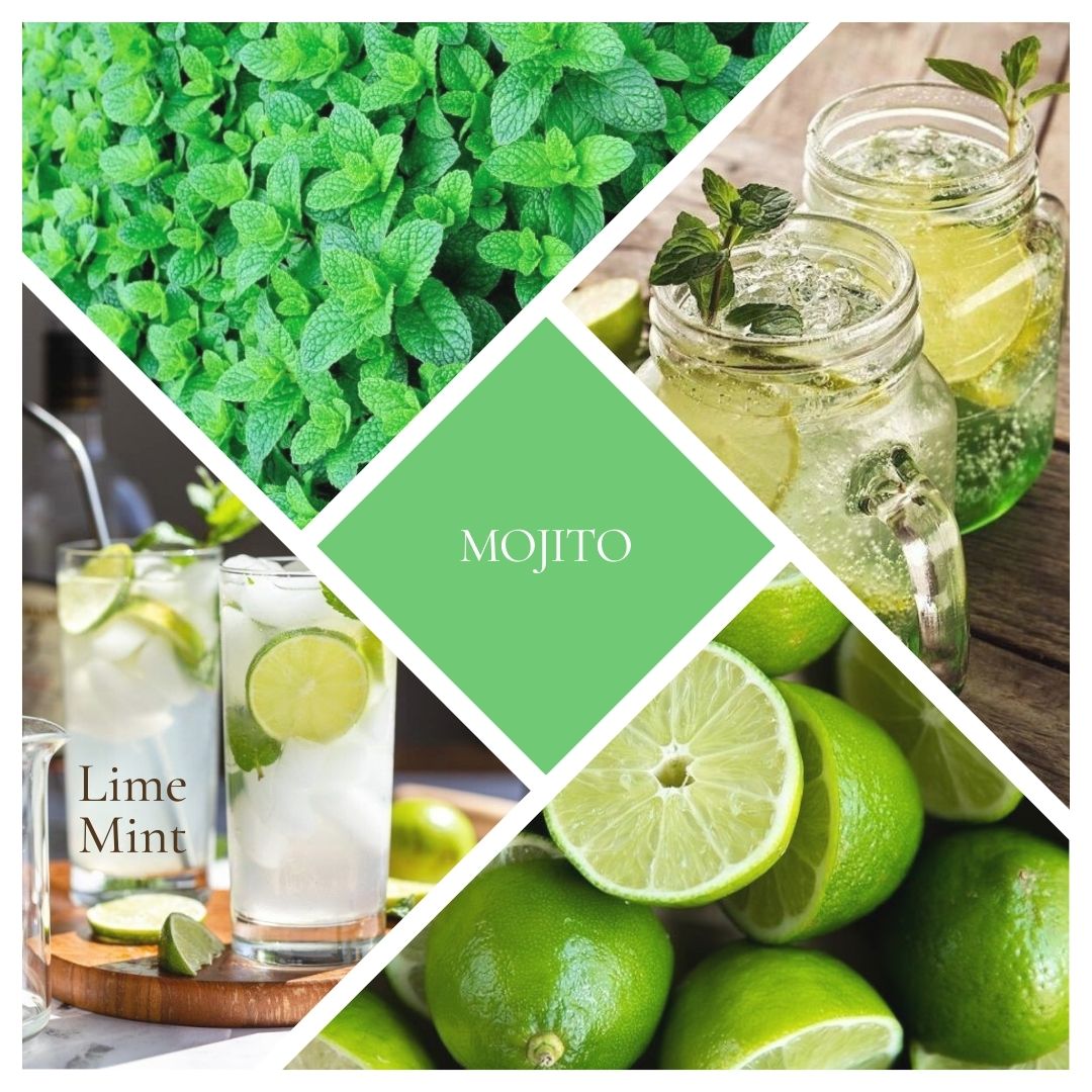 * NEW * Mojito Reed Diffuser